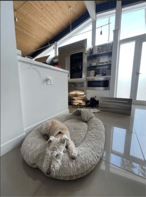 Sub-Zero repair near me in Miami — Sub-Zero built-in refrigerator mid-service in a vaulted-ceiling Coral Gables luxury home by a local Miami Sub-Zero technician