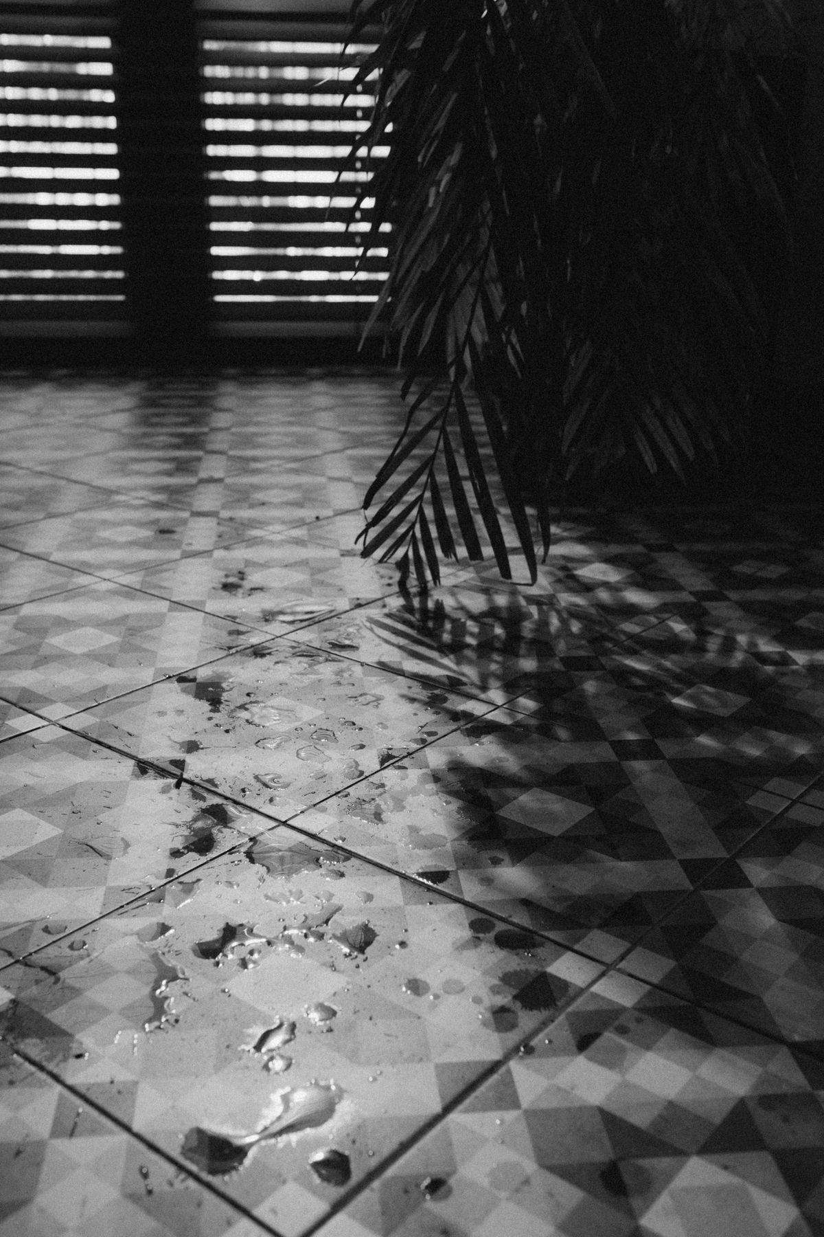 Water pooling on a Miami floor from a leaking Sub-Zero
